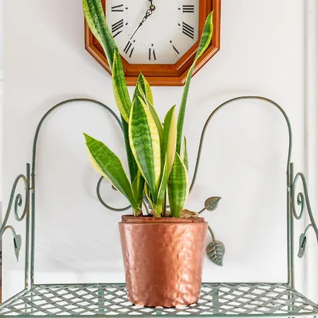 Hébergement de vacances La Clé Des Champs Saint-Julien-des-Landes