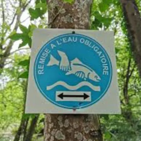 La Cle Des Champs Les Achards (Vendee)