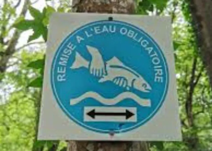 La Clé Des Champs Les Achards (Vendee)